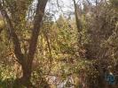 Vente Terrain Abades FREIXIANDA,-RIBEIRA-DO-FARRIO-E-FORMIGAIS 5100 m2 Portugal