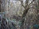 Vente Terrain Abades FREIXIANDA,-RIBEIRA-DO-FARRIO-E-FORMIGAIS 2840 m2 Portugal