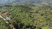 Vente Maison Abades FREIXIANDA,-RIBEIRA-DO-FARRIO-E-FORMIGAIS 378 m2 Portugal