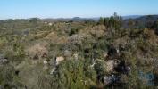 Vente Maison Abades FREIXIANDA,-RIBEIRA-DO-FARRIO-E-FORMIGAIS 86 m2 5 pieces Portugal