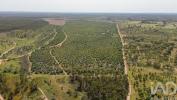 Vente Terrain Abrantes  32767 m2 Portugal