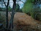Vente Terrain Ade CASTELO-MENDO,-ADE,-MONTEPEROBOLSO-E-MESQUITELA 1420 m2 Portugal
