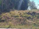 Vente Terrain Agua-formosa SOUTO-DE-CARPALHOSA-E-ORTIGOSA 2154 m2 Portugal