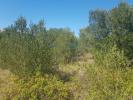 Vente Terrain Alapraia CASCAIS-E-ESTORIL 483 m2 Portugal