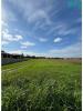 Vente Terrain Albergaria-a-velha BRANCA 930 m2 Portugal