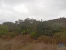 Vente Terrain Albufeira PADERNE 250 m2 Portugal