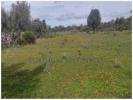 Vente Terrain Albufeira GUIA 21790 m2 Portugal