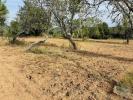 Vente Terrain Albufeira PADERNE 1800 m2 Portugal