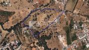 Vente Terrain Albufeira  32767 m2 19 pieces Portugal
