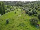 Vente Terrain Alcanena MALHOU,-LOURICEIRA-E-ESPINHEIRO 13810 m2 Portugal