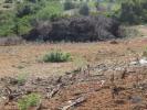 Vente Terrain Alcantarilha ARMAA§A£O-DE-PAªRA 32767 m2 Portugal