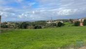 Vente Terrain Alcobaca ALCOBAA�A-E-VESTIARIA 3220 m2 Portugal