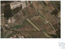Vente Terrain Alcobaca SAO-MARTINHO-DO-PORTO 5128 m2 Portugal