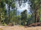 Vente Terrain Alcobaca BENEDITA 7242 m2 Portugal