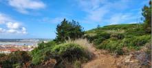 Vente Terrain Alcobaca SAO-MARTINHO-DO-PORTO 9365 m2 Portugal