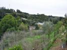 Vente Terrain Alcobaca ALCOBAA§A-E-VESTIARIA 3454 m2 Portugal