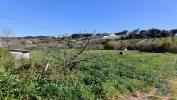 Vente Terrain Alcobaca CELA 1585 m2 Portugal