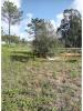 Vente Terrain Alcobaca PATAIAS-E-MARTINGANA§A 30000 m2 Portugal