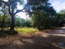 Vente Terrain Alcobaca ALJUBARROTA 2112 m2 Portugal