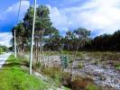 Vente Terrain Alcobaca  27108 m2 Portugal