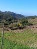 Vente Terrain Alcobaca TURQUEL 18800 m2 Portugal