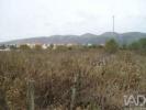Vente Terrain Alcobaca  1221 m2 Portugal