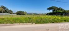 Vente Terrain Alcobaca ALJUBARROTA 5203 m2 Portugal