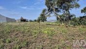 Vente Terrain Alcobaca VIMEIRO 1950 m2 Portugal