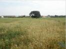 Vente Terrain Alcochete ALCOCHETE 2856 m2 Portugal