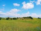 Vente Terrain Alcoentre MANIQUE-DO-INTENDENTE,-V.N.DE-S.PEDRO-E-MAA§USSA 4640 m2 Portugal