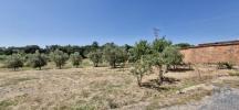Vente Terrain Alcoentre ALCOENTRE 923 m2 Portugal