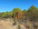 Vente Terrain Alcoutim VAQUEIROS 2500 m2 Portugal