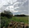 Vente Terrain Aldeia-galega SAO-JOAO-DAS-LAMPAS-E-TERRUGEM 5296 m2 Portugal