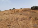Vente Terrain Aldeia-ruiva SAO-MARCOS-DA-SERRA 32040 m2 Portugal