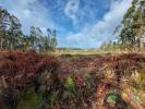Vente Terrain Aldreu VILA-DE-PUNHE 4388 m2 Portugal