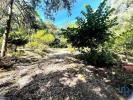 Vente Terrain Aldreu DURRAES-E-TREGOSA 300 m2 Portugal