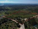 Vente Terrain Alem-da-ribeira CARREGUEIROS 32767 m2 Portugal