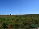 Vente Terrain Alenquer CARNOTA 8000 m2 Portugal