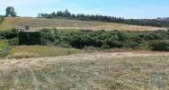 Vente Terrain Alenquer CARNOTA 32767 m2 Portugal