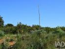 Vente Terrain Alenquer CARNOTA 32767 m2 Portugal