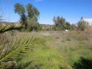 Vente Terrain Algoz  1178 m2 Portugal