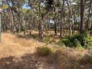 Vente Terrain Almada CHARNECA-DE-CAPARICA-E-SOBREDA 700 m2 Portugal