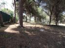 Vente Terrain Almancil  1385 m2 Portugal