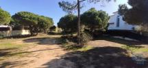 Vente Terrain Almancil ALMANCIL 890 m2 Portugal