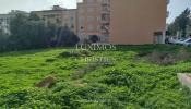 Vente Terrain Almancil  1492 m2 Portugal