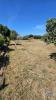 Vente Terrain Almancil ALMANCIL 1265 m2 Portugal