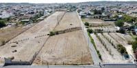 Vente Terrain Almeirim FAZENDAS-DE-ALMEIRIM 12840 m2 Portugal