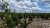 Vente Terrain Almeirim BENFICA-DO-RIBATEJO 9040 m2 Portugal