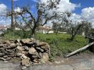 Vente Terrain Almodovar SANTA-CRUZ 645 m2 Portugal