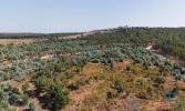 Vente Terrain Alpiarca ALPIARA§A 32767 m2 Portugal